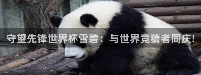 世界杯转播表：守望先锋世界杯雪碧：与世界竞猜者同庆!