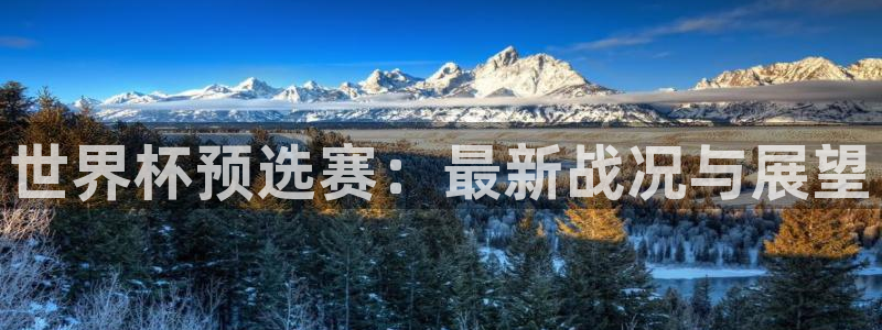 2026足球世界杯赛程时间表：世界杯预选赛：最新战况与展望