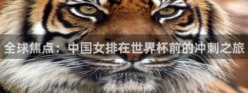 2026世界杯官网：全球焦点：中国女排在世界杯前的冲刺之旅