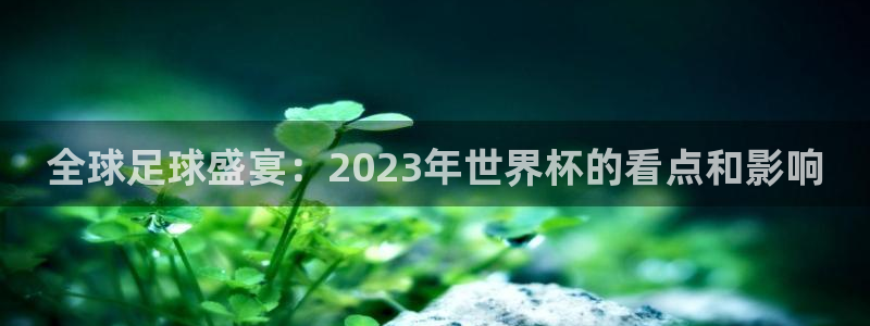 足球世界杯赛程：全球足球盛宴：2023年世界杯的看点和影响