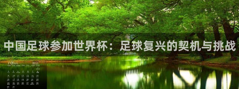 2026世界杯预选赛：中国足球参加世界杯：足球复兴的契机与挑战