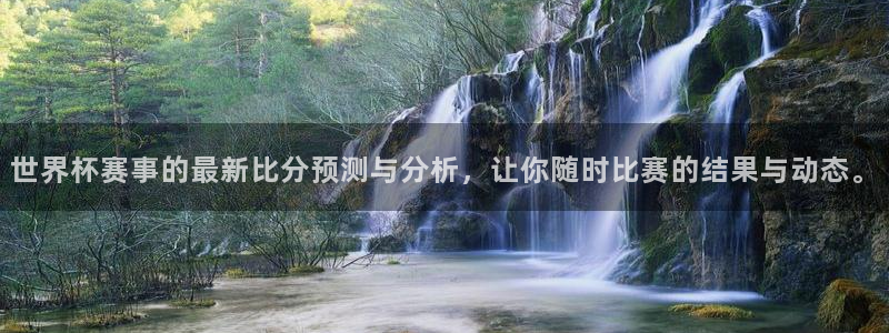 世界杯足球比赛：世界杯赛事的最新比分预测与分析，让你随时比赛的结果与动态。