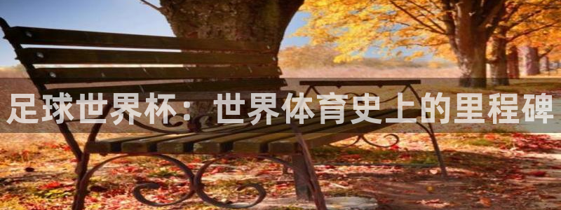 世界杯亚洲区预选赛积分榜：足球世界杯：世界体育史上的里程碑