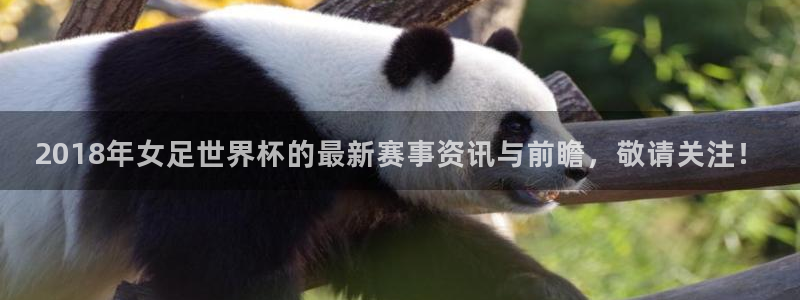 世界杯足球赛2026：2018年女足世界杯的最新赛事资讯与前瞻，敬请关注！