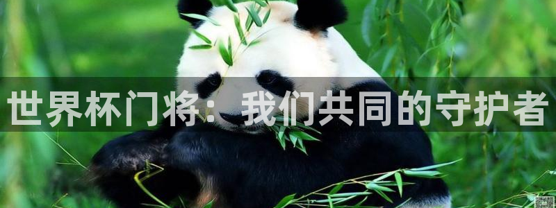 世界杯足球2026：世界杯门将：我们共同的守护者