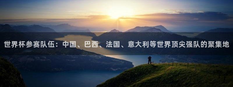 今年的世界杯：世界杯参赛队伍：中国、巴西、法国、意大利等世界顶尖强队的聚集地