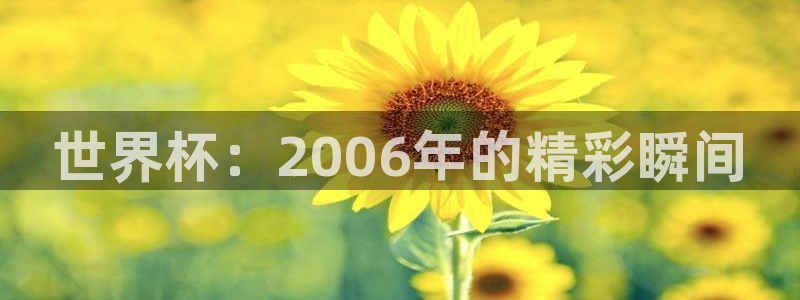 世界杯葡萄牙赛程：世界杯：2006年的精彩瞬间